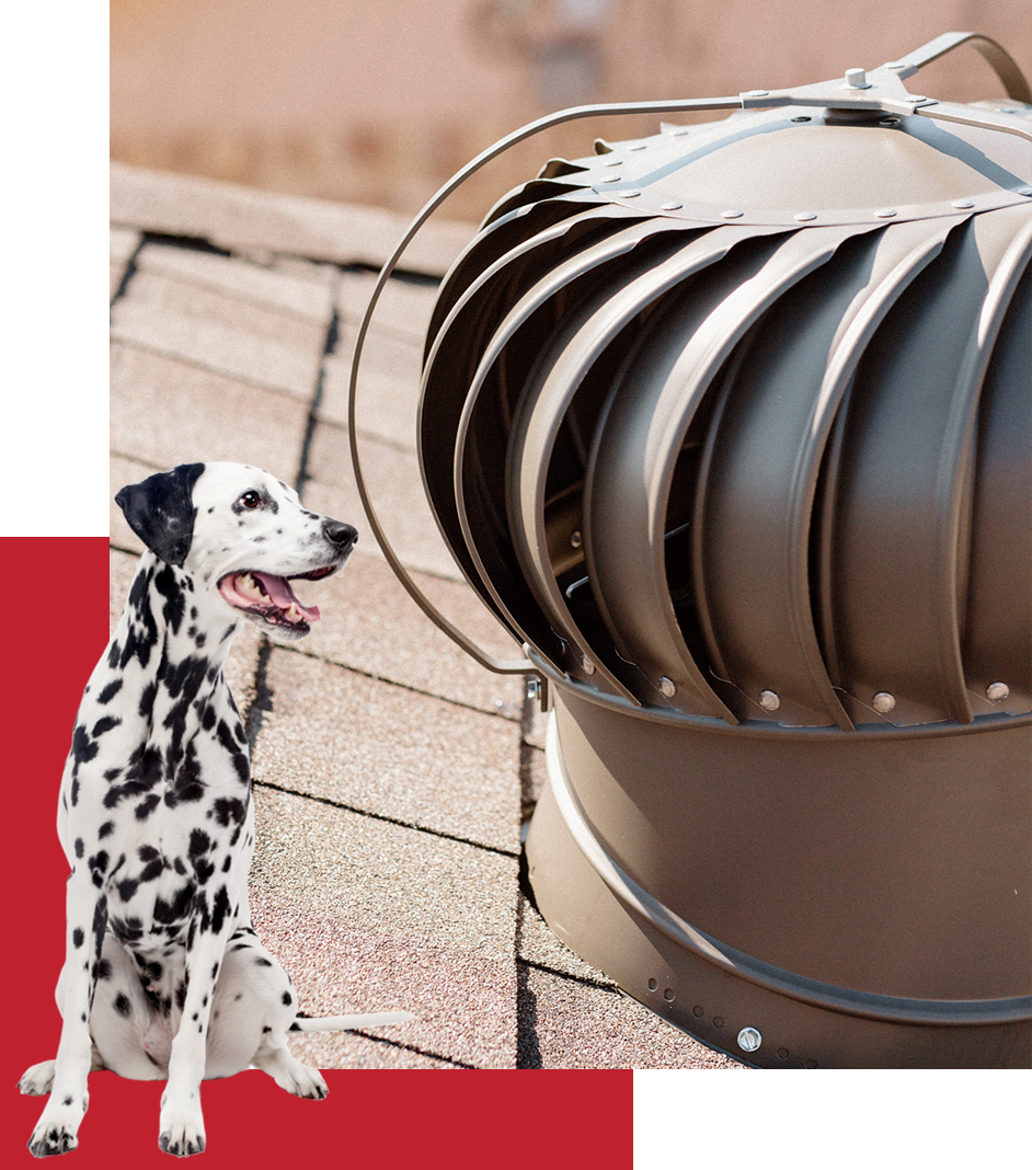 roof vent with Dalmatian graphic on top